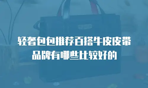 轻奢包包推荐百搭牛皮皮带品牌有哪些比较好的