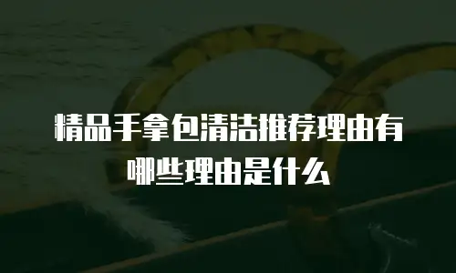 精品手拿包清洁推荐理由有哪些理由是什么