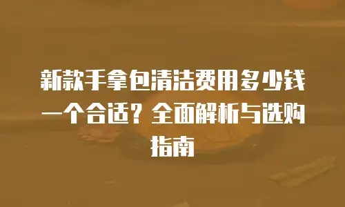 新款手拿包清洁费用多少钱一个合适？全面解析与选购指南