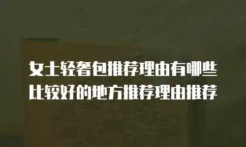 女士轻奢包推荐理由有哪些比较好的地方推荐理由推荐