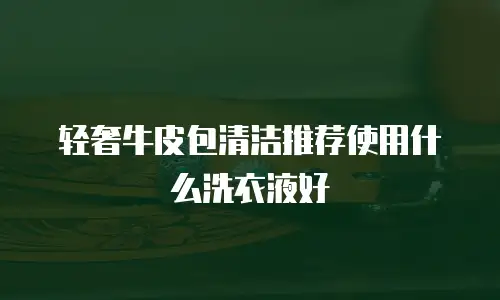 轻奢牛皮包清洁推荐使用什么洗衣液好