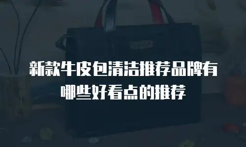 新款牛皮包清洁推荐品牌有哪些好看点的推荐