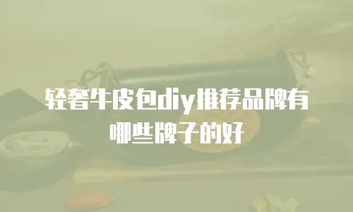 轻奢牛皮包diy推荐品牌有哪些牌子的好