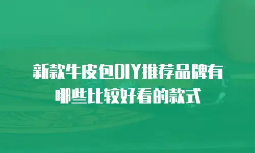 新款牛皮包DIY推荐品牌有哪些比较好看的款式
