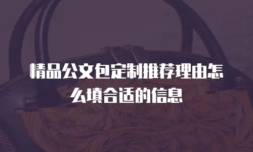 精品公文包定制推荐理由怎么填合适的信息