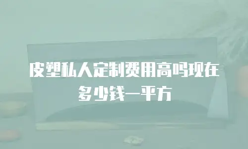 皮塑私人定制费用高吗现在多少钱一平方