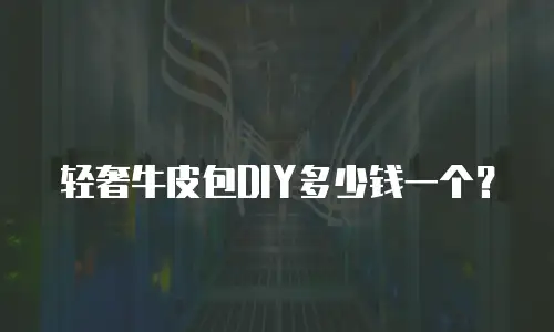 轻奢牛皮包DIY多少钱一个？