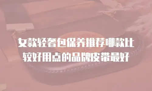 女款轻奢包保养推荐哪款比较好用点的品牌皮带最好