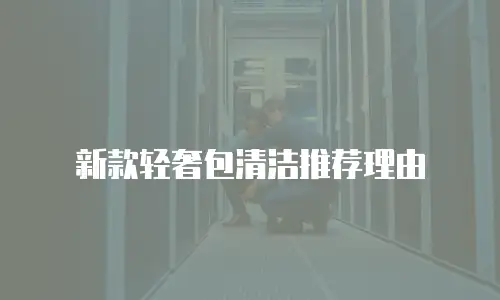新款轻奢包清洁推荐理由