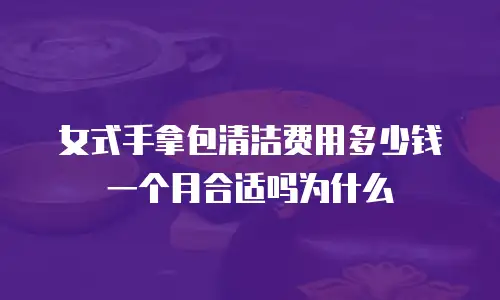 女式手拿包清洁费用多少钱一个月合适吗为什么