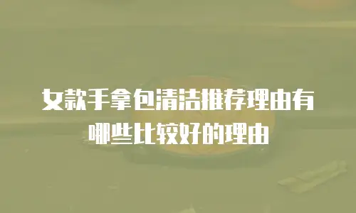 女款手拿包清洁推荐理由有哪些比较好的理由