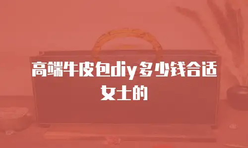 高端牛皮包diy多少钱合适女士的