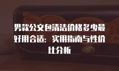 男款公文包清洁价格多少最好用合适：实用指南与性价比分析