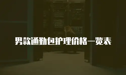 男款通勤包护理价格一览表