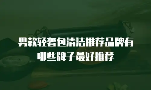 男款轻奢包清洁推荐品牌有哪些牌子最好推荐