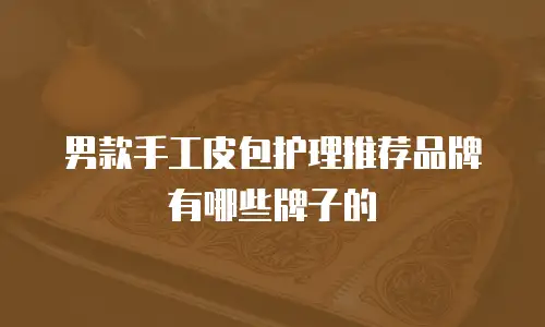 男款手工皮包护理推荐品牌有哪些牌子的