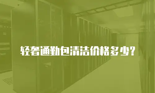 轻奢通勤包清洁价格多少？