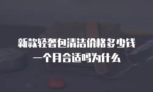 新款轻奢包清洁价格多少钱一个月合适吗为什么