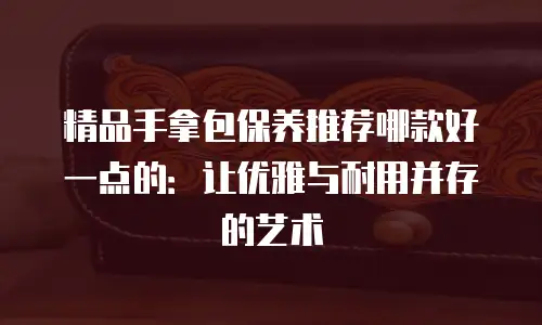 精品手拿包保养推荐哪款好一点的：让优雅与耐用并存的艺术