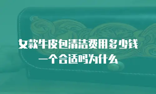 女款牛皮包清洁费用多少钱一个合适吗为什么
