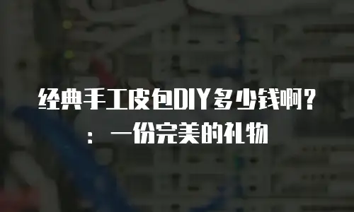 经典手工皮包DIY多少钱啊？：一份完美的礼物