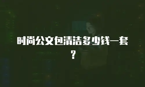 时尚公文包清洁多少钱一套？