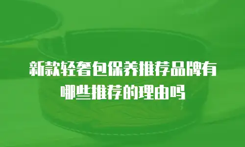 新款轻奢包保养推荐品牌有哪些推荐的理由吗