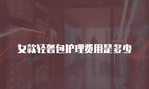 女款轻奢包护理费用是多少