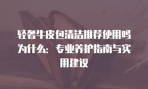 轻奢牛皮包清洁推荐使用吗为什么：专业养护指南与实用建议