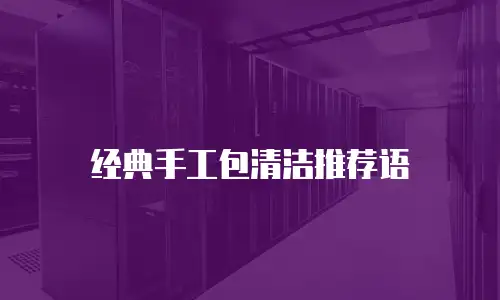 经典手工包清洁推荐语