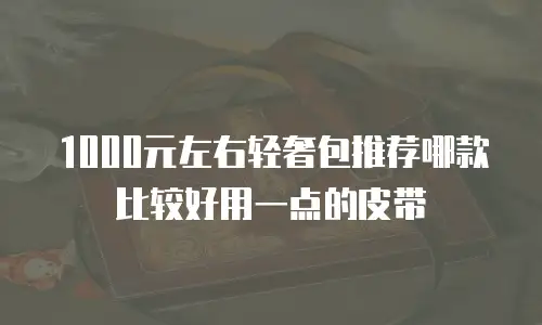 1000元左右轻奢包推荐哪款比较好用一点的皮带