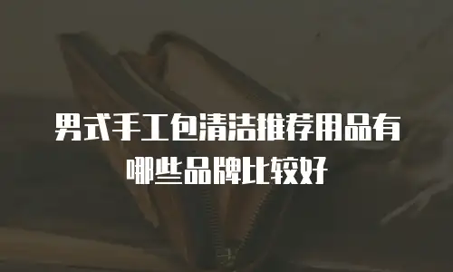 男式手工包清洁推荐用品有哪些品牌比较好