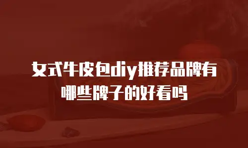 女式牛皮包diy推荐品牌有哪些牌子的好看吗