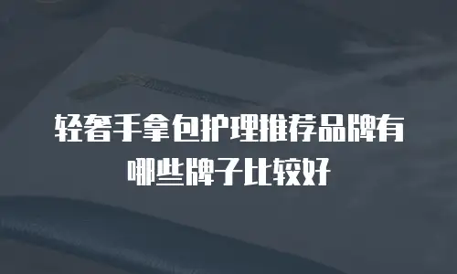 轻奢手拿包护理推荐品牌有哪些牌子比较好