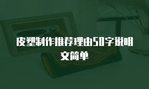 皮塑制作推荐理由50字说明文简单