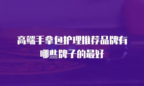 高端手拿包护理推荐品牌有哪些牌子的最好