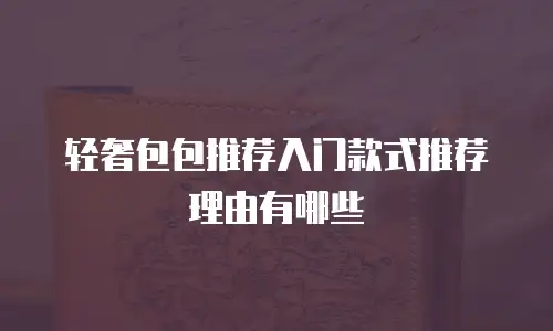 轻奢包包推荐入门款式推荐理由有哪些