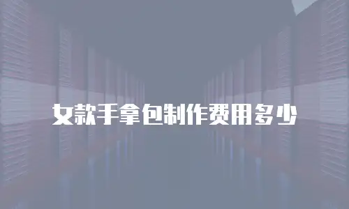 女款手拿包制作费用多少