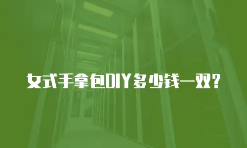 女式手拿包DIY多少钱一双？