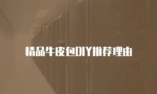 精品牛皮包DIY推荐理由
