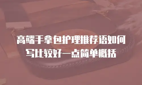 高端手拿包护理推荐语如何写比较好一点简单概括