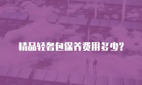 精品轻奢包保养费用多少？