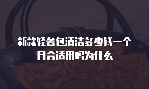新款轻奢包清洁多少钱一个月合适用吗为什么