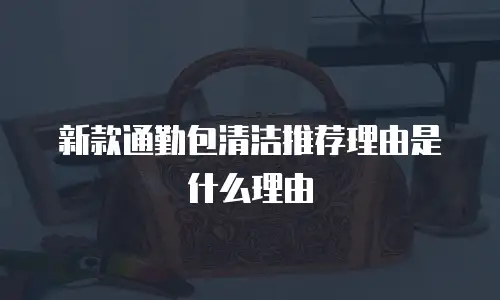 新款通勤包清洁推荐理由是什么理由