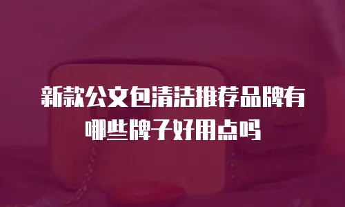 新款公文包清洁推荐品牌有哪些牌子好用点吗
