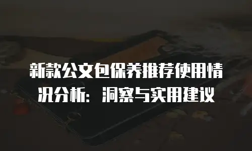 新款公文包保养推荐使用情况分析：洞察与实用建议