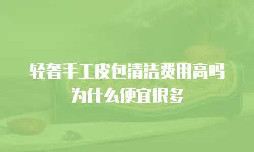 轻奢手工皮包清洁费用高吗为什么便宜很多