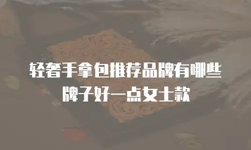 轻奢手拿包推荐品牌有哪些牌子好一点女士款