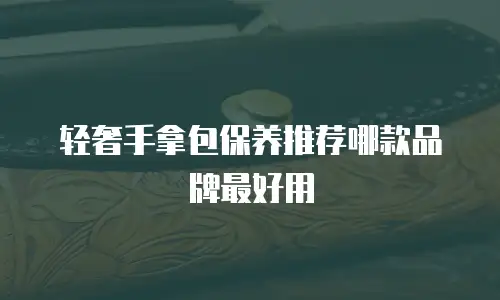 轻奢手拿包保养推荐哪款品牌最好用