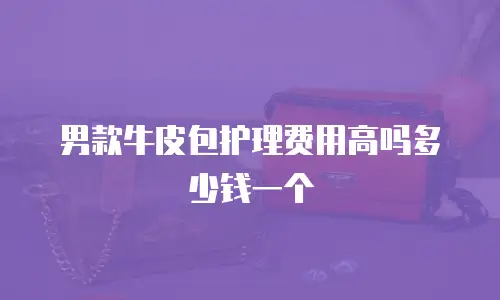 男款牛皮包护理费用高吗多少钱一个